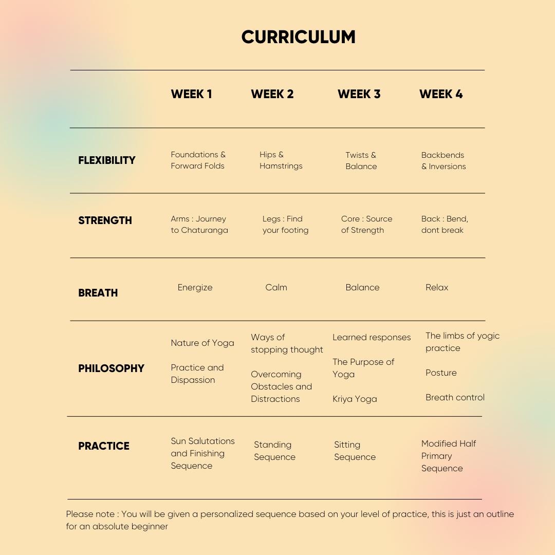 Curriculum